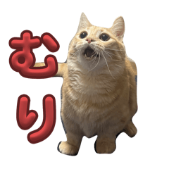 manmaru_20240916210113