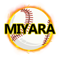 Baseball MIYARA