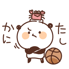 Panda working hard on basketball vol.8