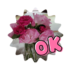 gam_20240917012900