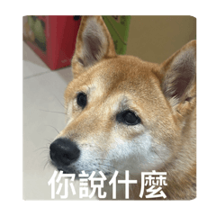 熊熊合集