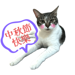 西歪歪