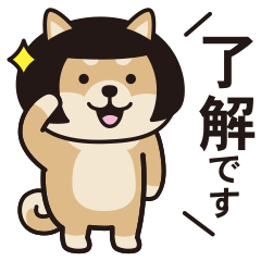 Bobbappa shibainu