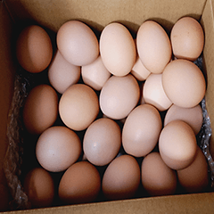 Food Series : A whole box of eggs