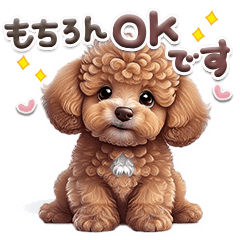 Greetings of small toy poodle -Neo2-