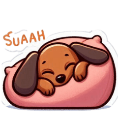 Brown dachshund aoharu