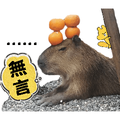 Capybaras' World