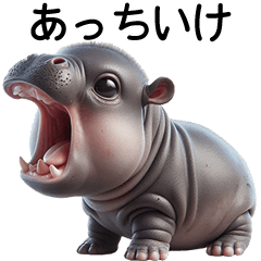 MooDoong adorable baby hippo [JP]