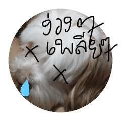 Phu u uuu_20240917224452