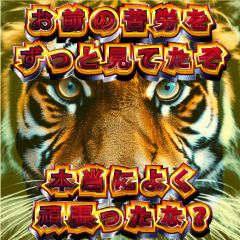 Golden tiger Sticker