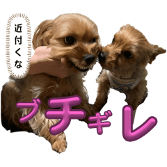 moo_20240918102607