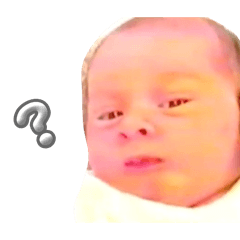 ton_20240917184027
