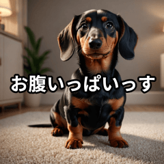 Adorable Dachshund Daily Stickers