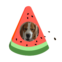 MASATO0527_20240918113009