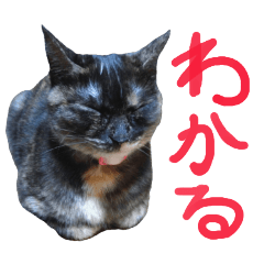 Japanese SabiNeko Cat Stamps