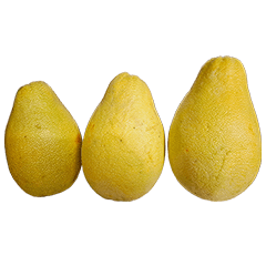 Food Series : Some Pomelo (2024) #1