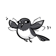 Magpie is here