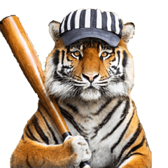 baseball fan tiger2