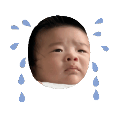 Ji_20240919092731