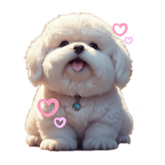 Chubby Bichon Frise and his friends