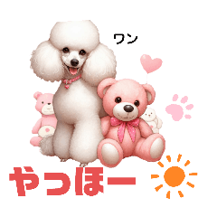 Fluffy Poodle & Pink Bear's Life