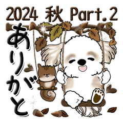 シーズー犬【秋・Part 2】2024