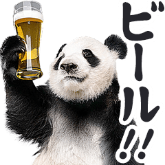 real Panda meme / Alcohol: Beer