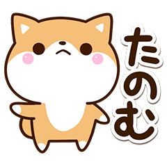 Chibi Shiba58