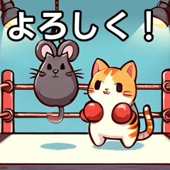 Cat enjoying boxing