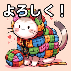 rainbow clothes cat