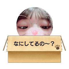 tanuki_20240918194323