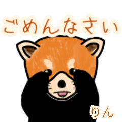 Rin's lesser panda