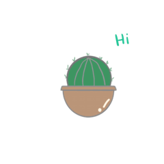 Cactus to every day