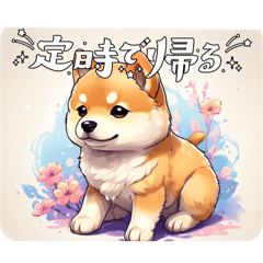 Cute Shiba Inu for everyday use 01