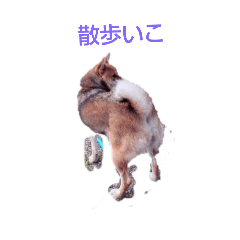 naru-_20240919012831