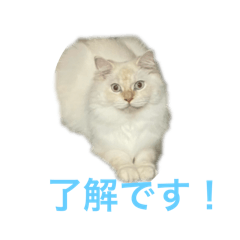 T M_20240918222227