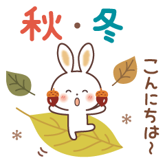 [in the fall and winter] Rabbit