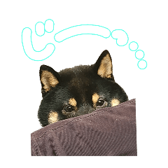 gomacha_20240919100148