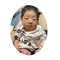 maso_20240919145517