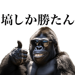 [Hanawa] Funny Gorilla stamps to send