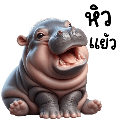 MooAung Hippo Cute4