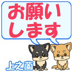 上之薗「うえのその」用でか文字チワワ２