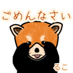 Ruko's lesser panda