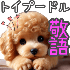 Toy Poodle 1 [Polite Language]