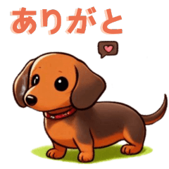 dachshund brown