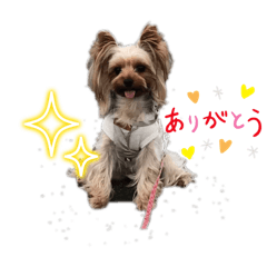 hiroru_20240919223531