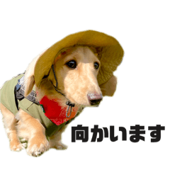 MUZE_20240919232412
