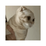 720_20240919213839