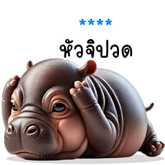 My name is ***: Ver.DeedDeng cute Hippo