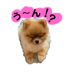 sakurako_20240920072023